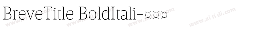 BreveTitle BoldItali字体转换